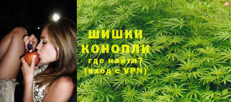 Каннабис SATIVA & INDICA  Анапа 